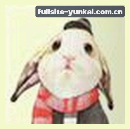 吴磊
